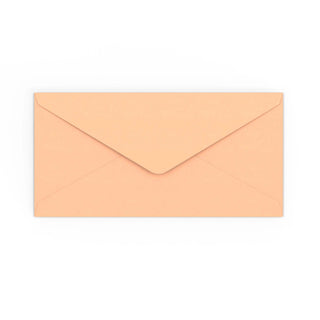 DL Salmon Pink Gummed V-Flap Envelope (110 x 220mm)
