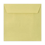Textured Envelopes