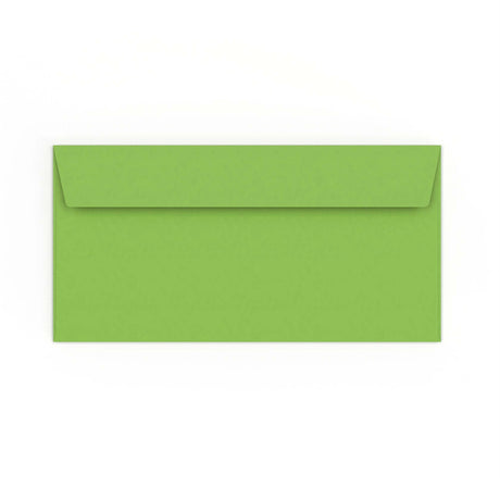 DL Mid Green Envelope (110 x 220mm)