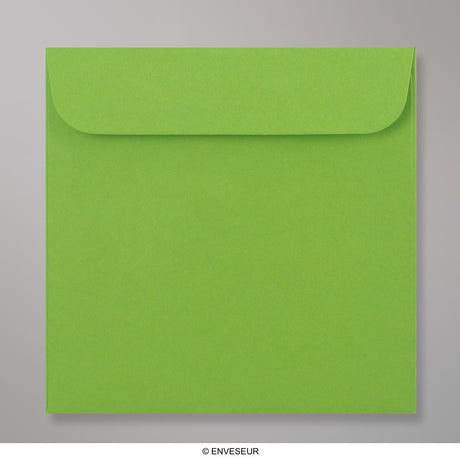 CD envelopes without window