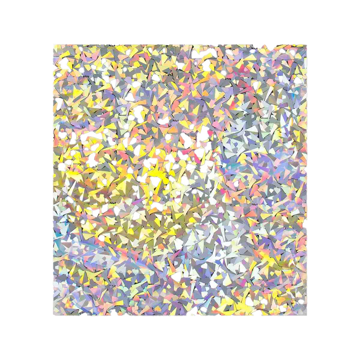 Holographic Finish Foil Bags