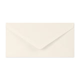 Paper Lined Envelopes