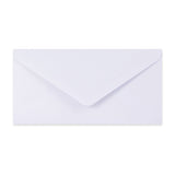 Paper Lined Envelopes