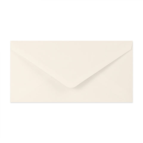 Paper Lined Envelopes